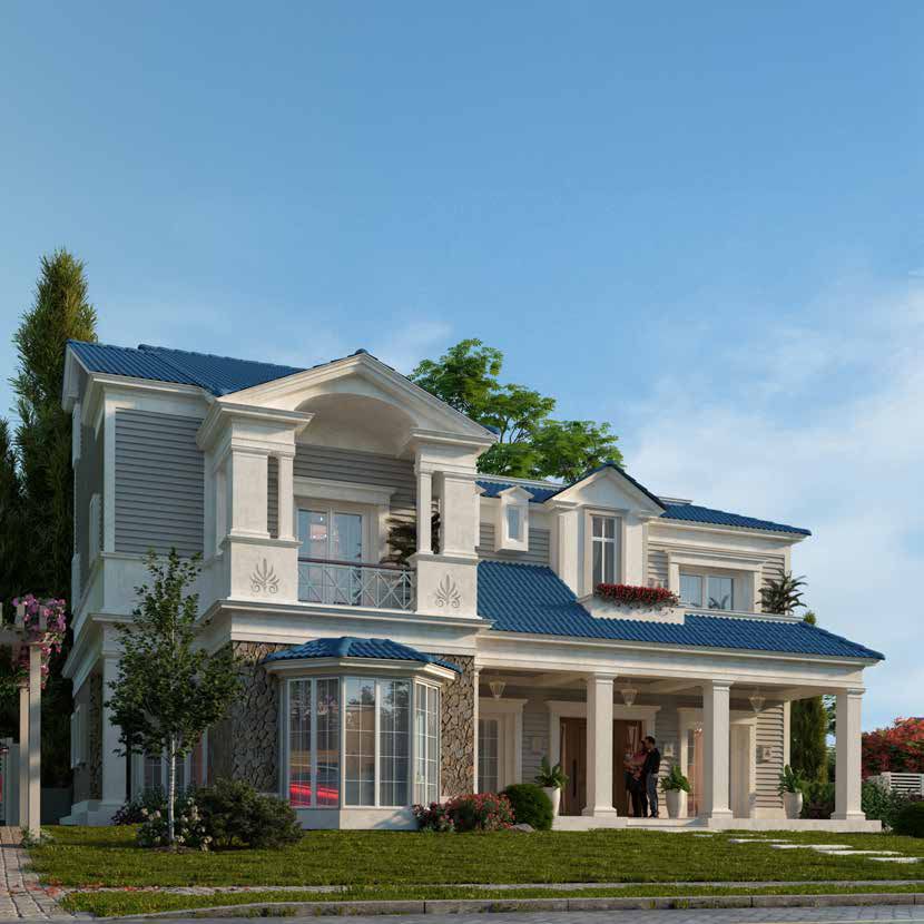 Mountain View New Project
