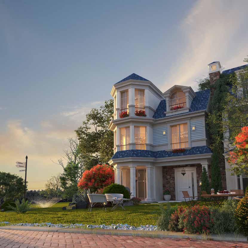 Mountain View New Project