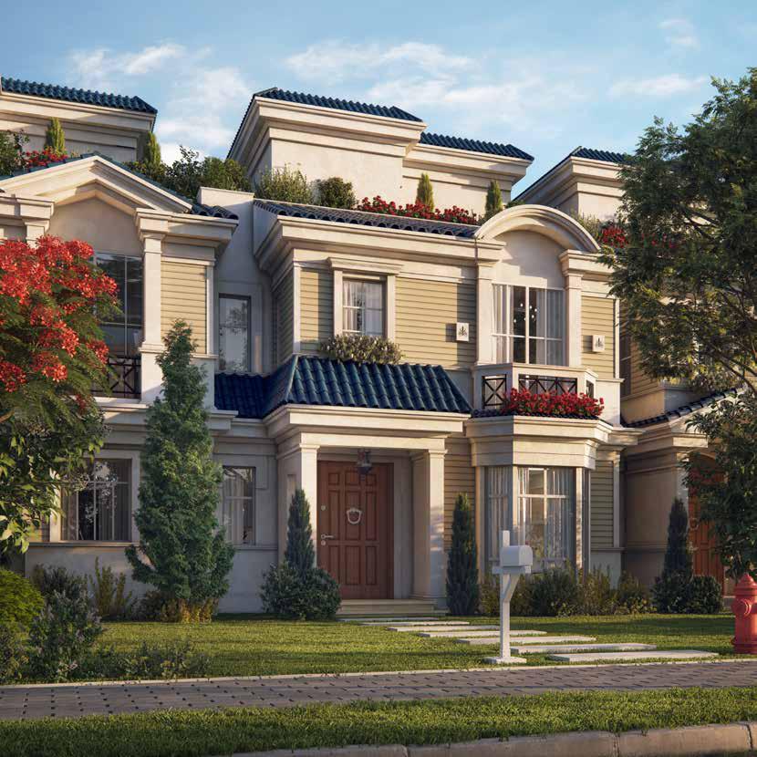 Mountain View New Project